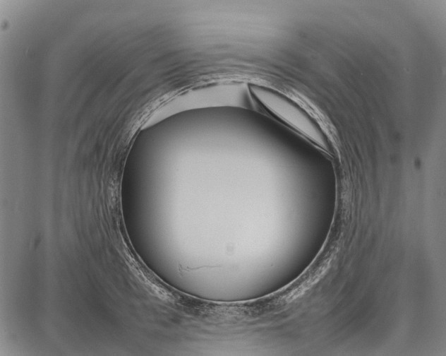 X0000087050993200705091131