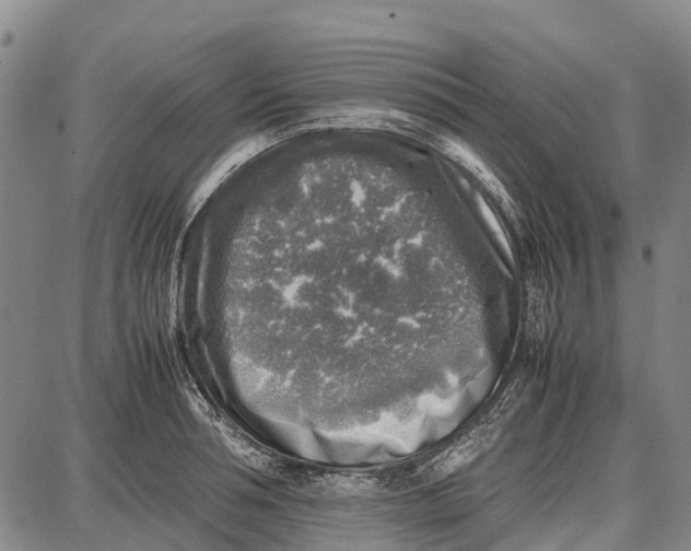 X0000087050994200705091131