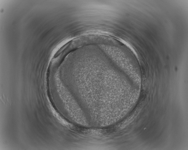 X0000087050995200705091131