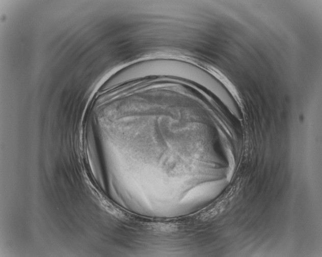 X0000087050996200705091131