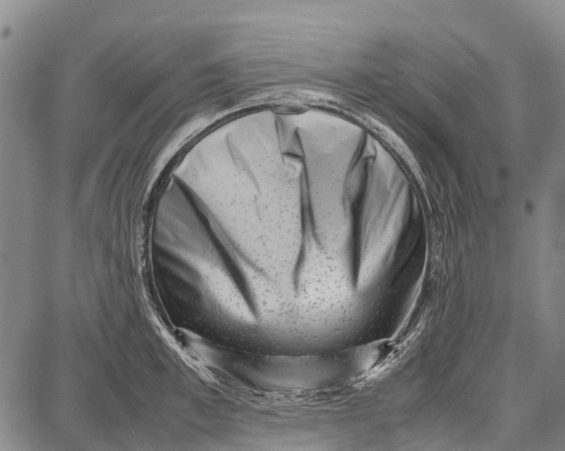 X0000087050997200705091131