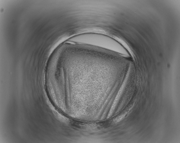 X0000087050999200705091131