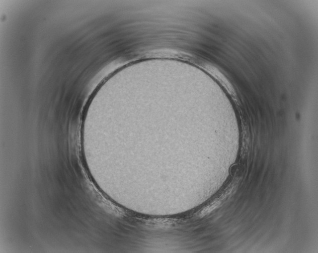 X0000087051000200705091131