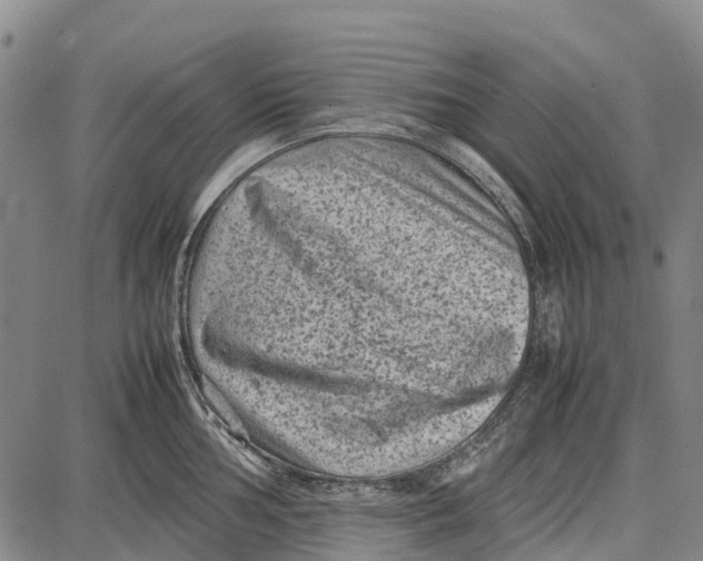 X0000087051002200705091131