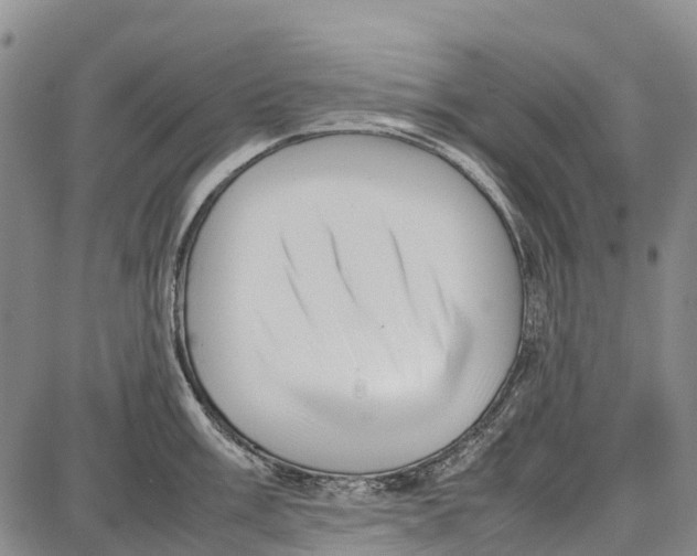 X0000087051003200705091131