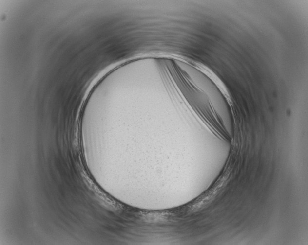 X0000087051004200705091131