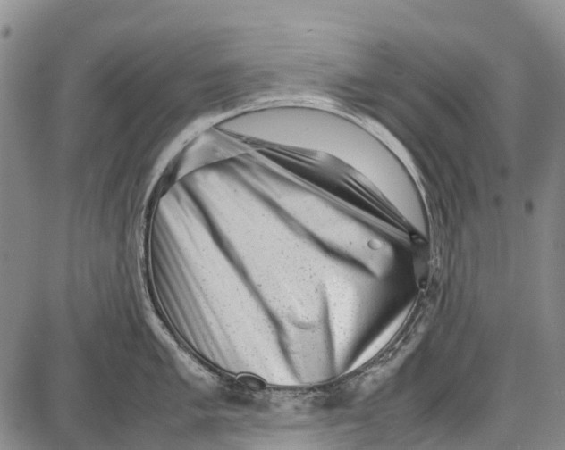 X0000087051005200705091131