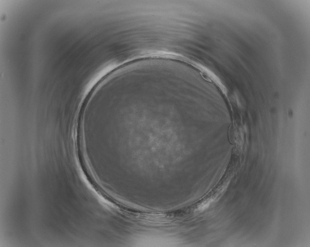 X0000087051007200705091131