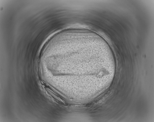 X0000087051008200705091131