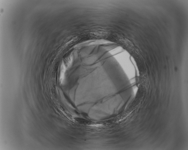 X0000087051009200705091130