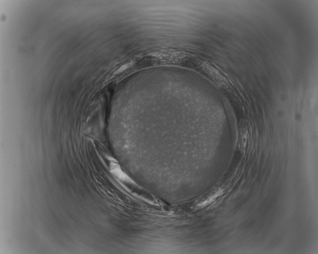 X0000087051010200705091130