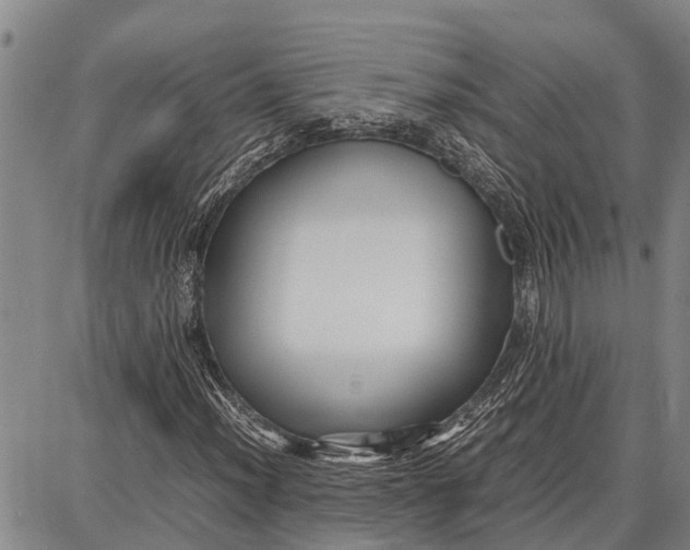 X0000087051012200705091130