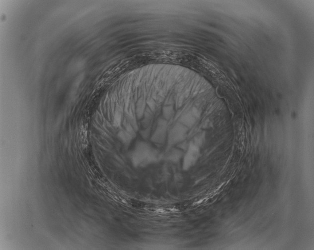 X0000087051013200705091130