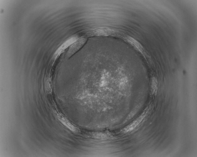 X0000087051018200705091130