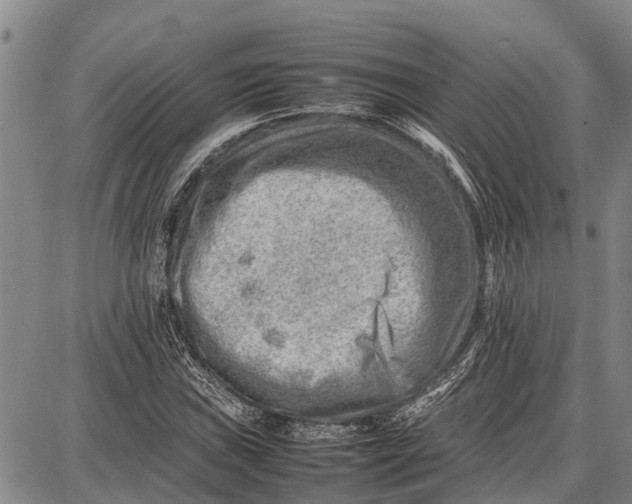 X0000087051019200705091130