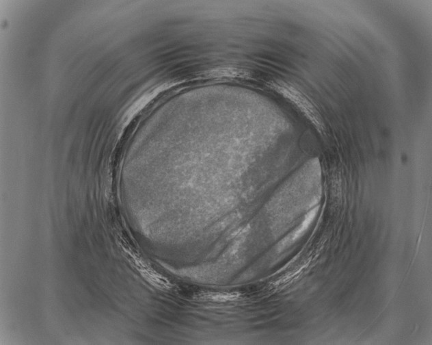 X0000087051023200705091130