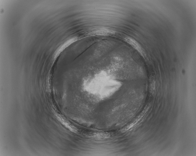 X0000087051026200705091130