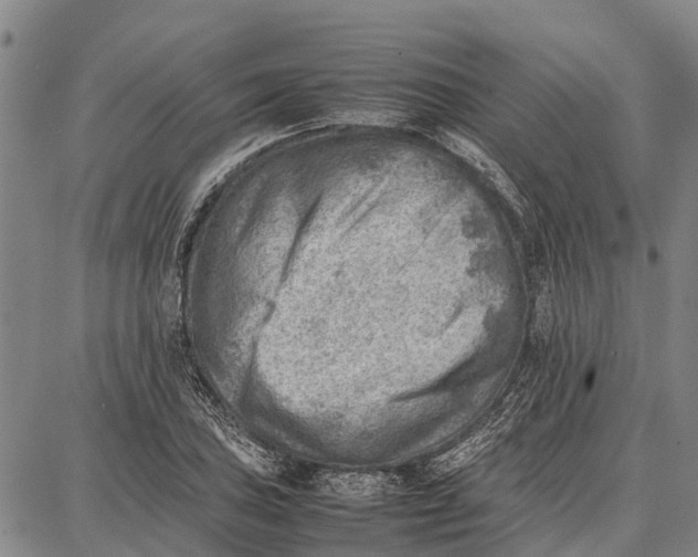 X0000087051027200705091130