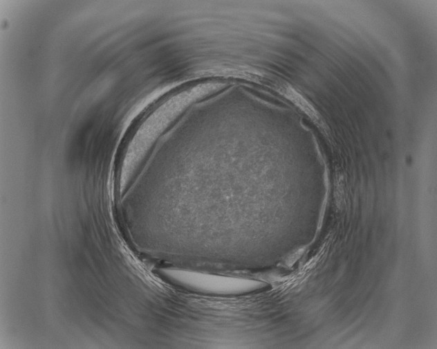 X0000087051028200705091130