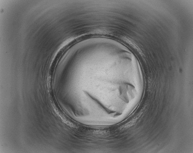 X0000087051029200705091130