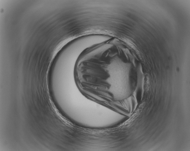 X0000087051030200705091130