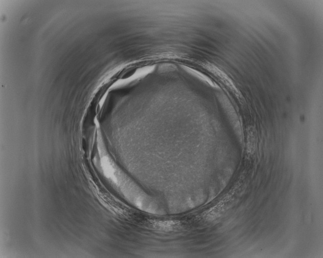 X0000087051031200705091130