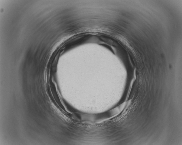 X0000087051032200705091130