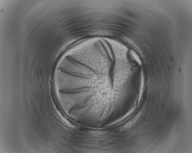 X0000087051033200705091130