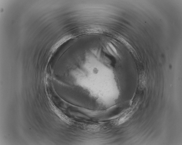 X0000087051034200705091130