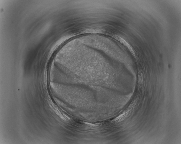 X0000087051035200705091130