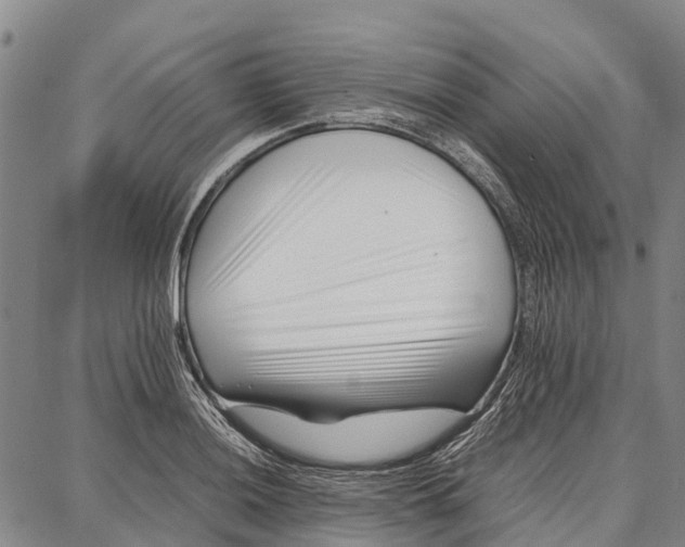 X0000087051036200705091130