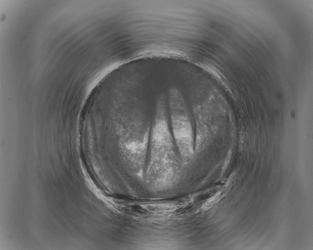 X0000087051038200705091130