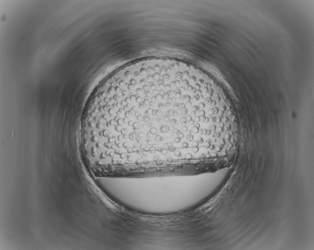 X0000087051040200705091131