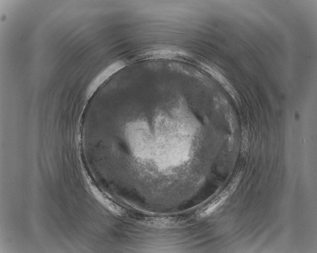 X0000087051042200705091131