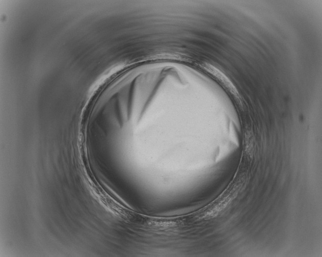 X0000087051043200705091131