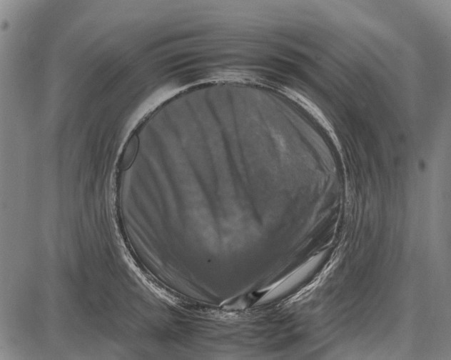 X0000087051045200705091131