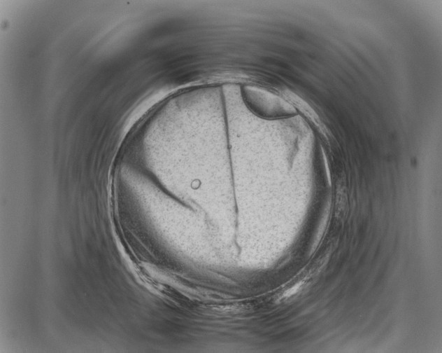 X0000087051047200705091131