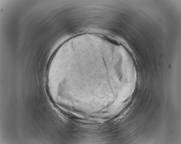 X0000087051048200705091131