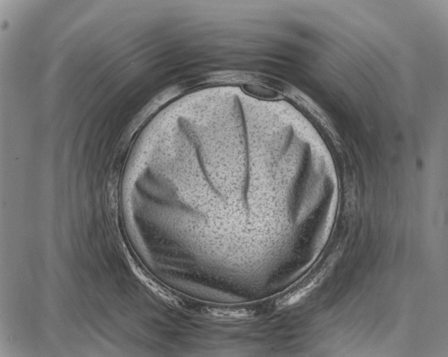 X0000087051049200705091131