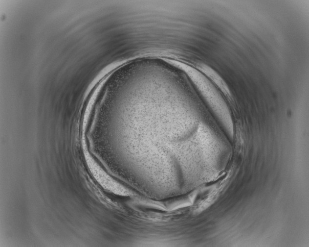 X0000087051052200705091131