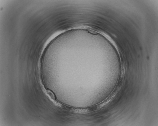 X0000087051053200705091131