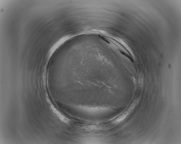 X0000087051054200705091131