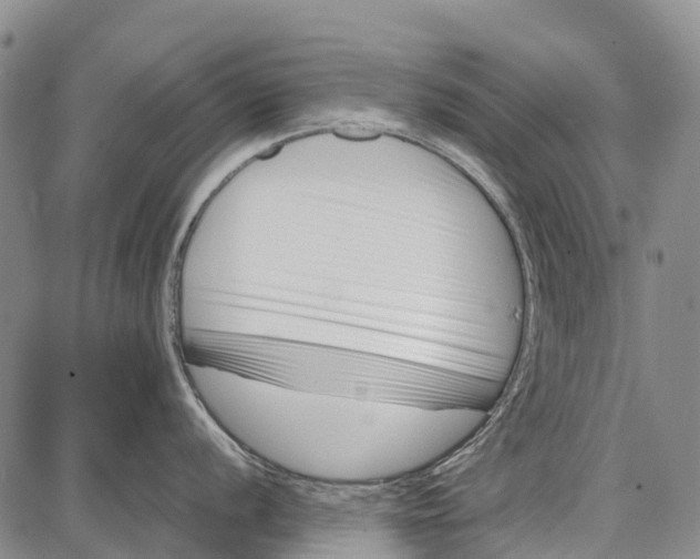 X0000087051056200705091131