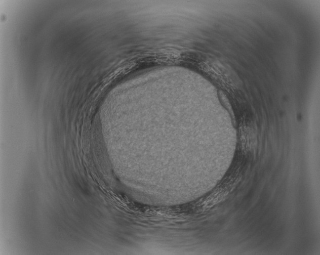 X0000087051057200705091130