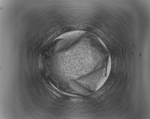 X0000087051058200705091130