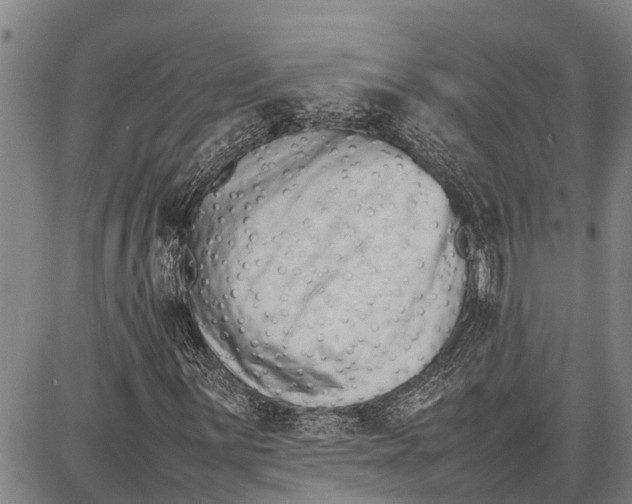 X0000087051059200705091130