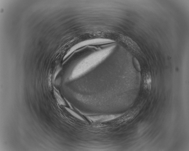 X0000087051060200705091130