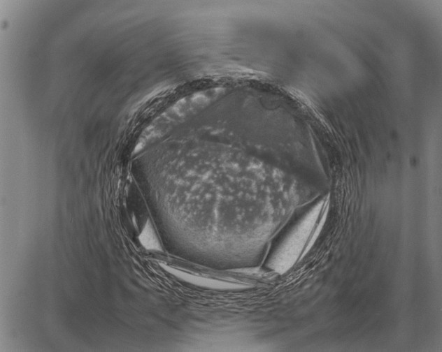 X0000087051063200705091130