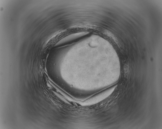 X0000087051064200705091130