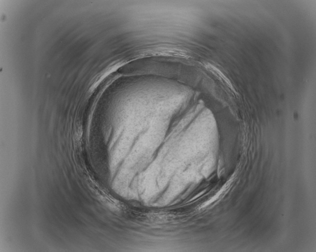 X0000087051065200705091130